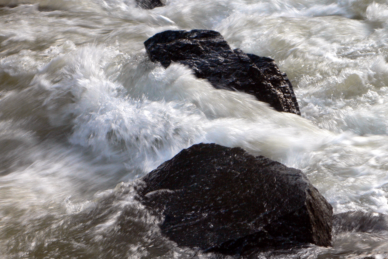 P1050127.JPG