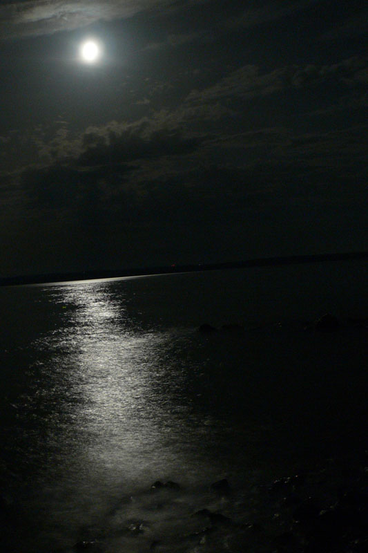 P1010513.jpg