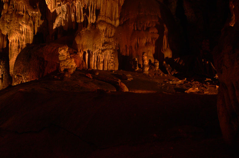P1010565.jpg