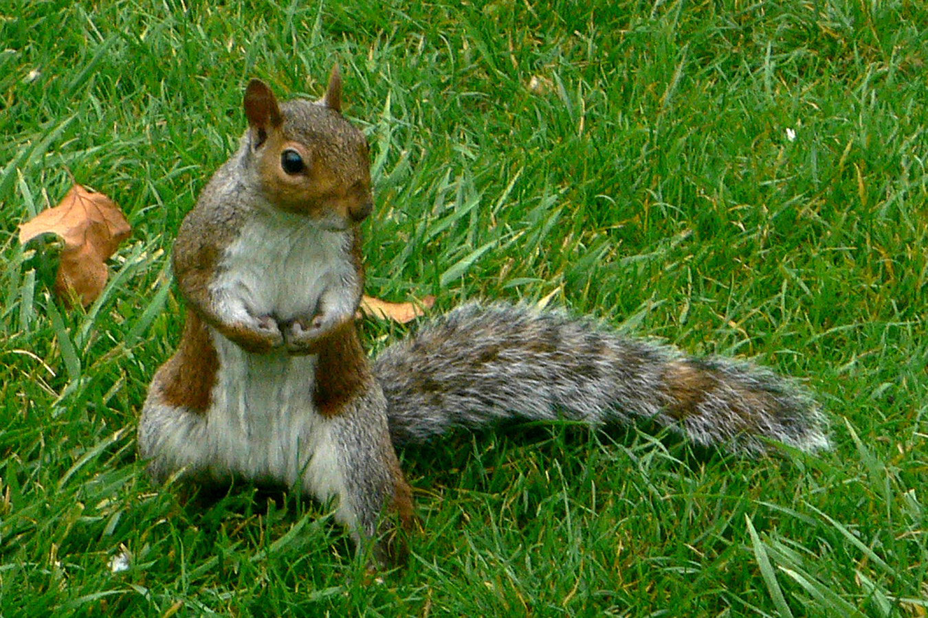 P1060219.JPG