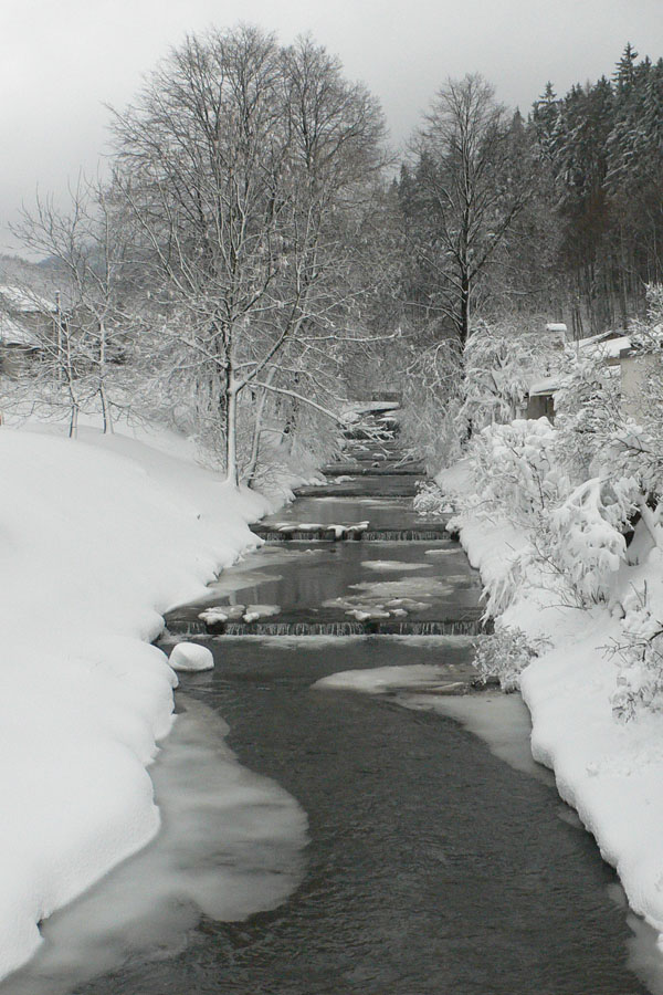 P1020653.jpg