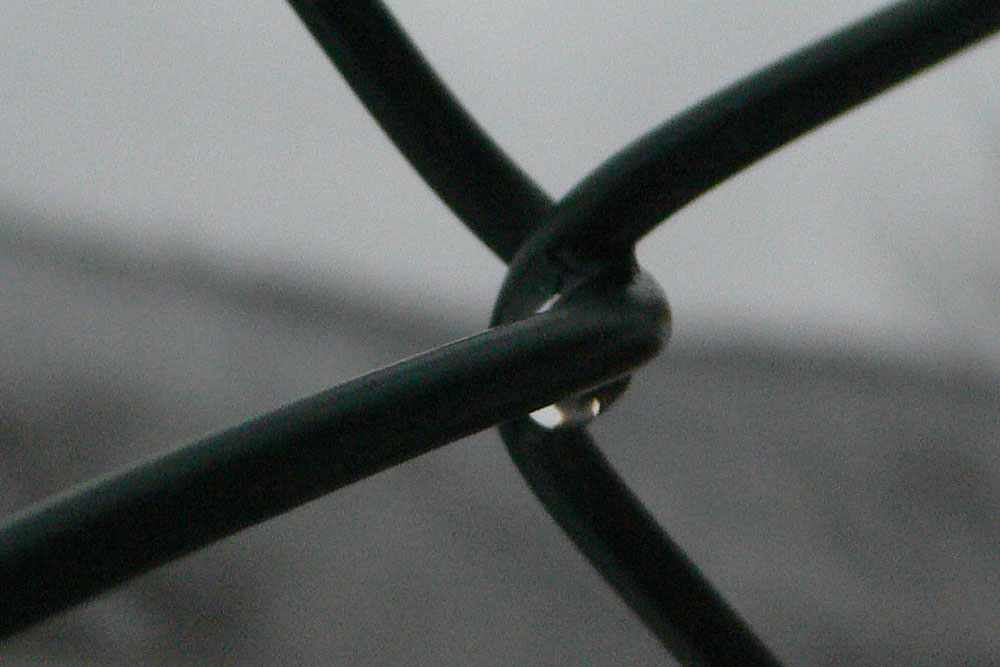 P1020663.jpg