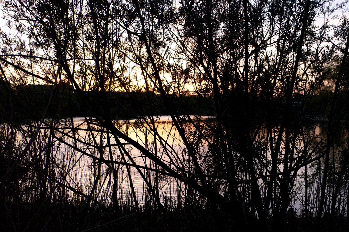 P1020785.JPG