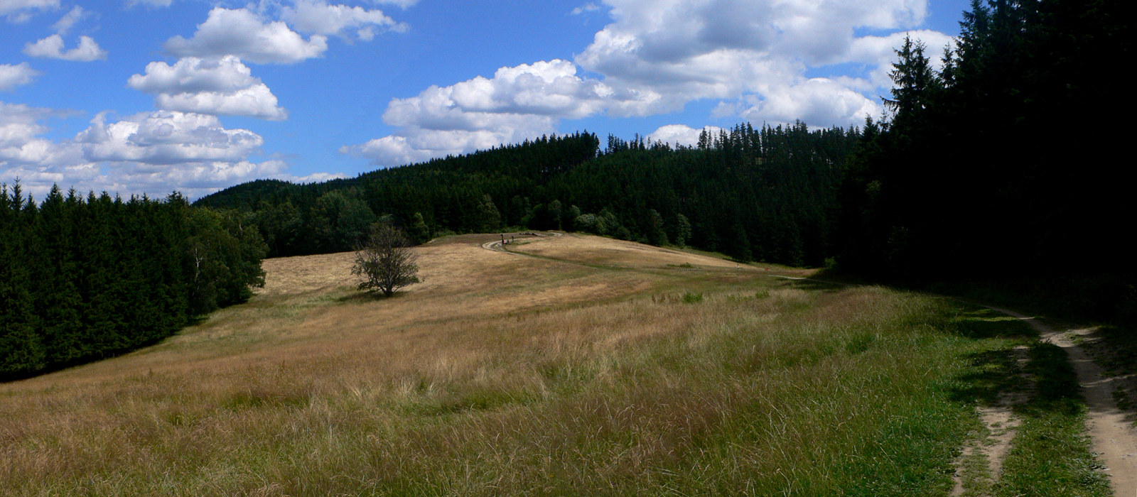 P1030499-klapinov.JPG