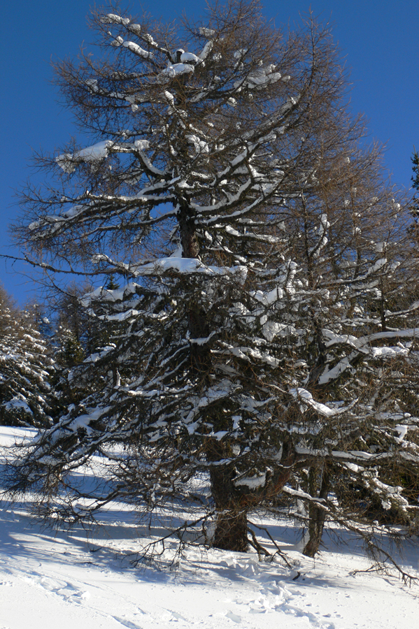 2-P1000040.jpg