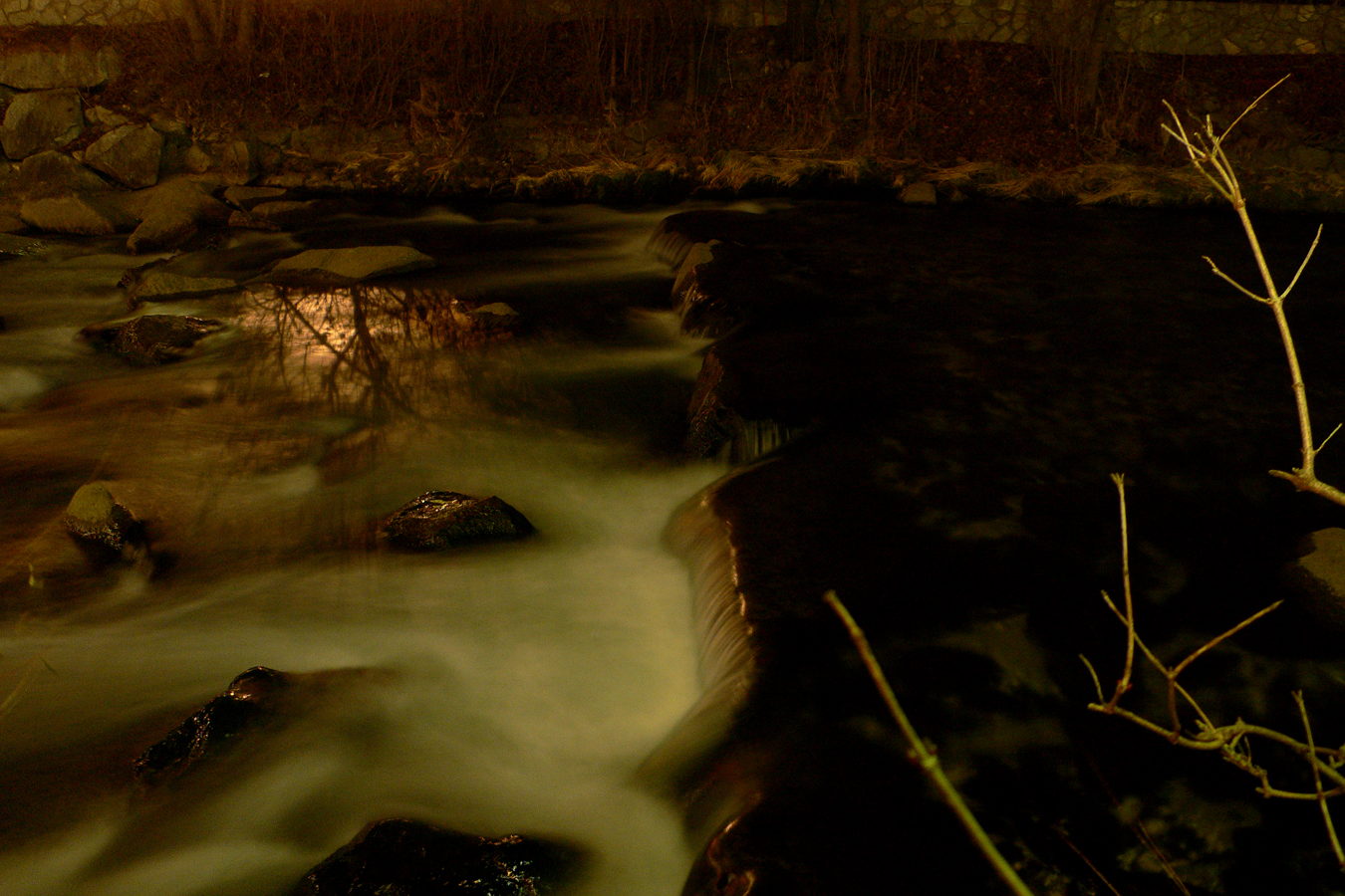 9-P1040058.JPG